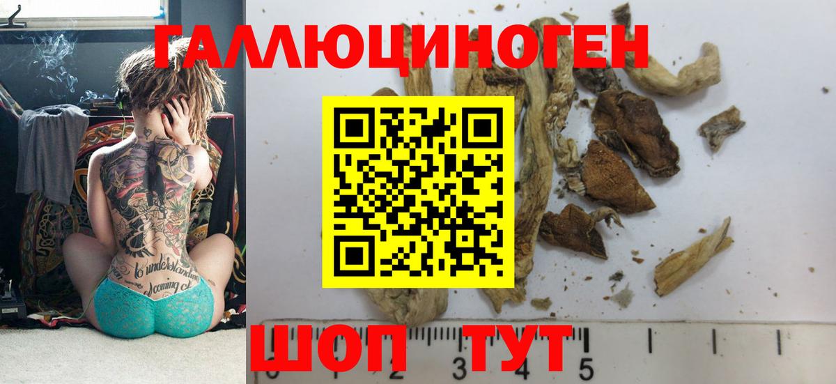 Добрянка  Галлюциногенные грибы Psilocybine cubensis  Вход с VPN  Псилоцибиновые грибы MAGIC MUSHROOMS 